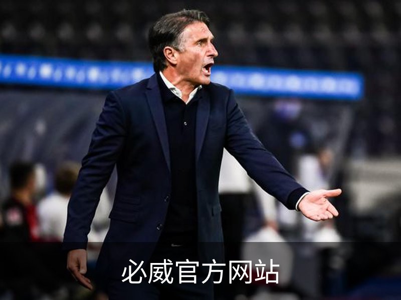 必威官方网站概况